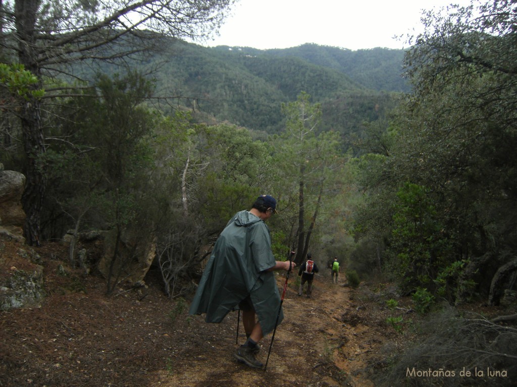 Camí de La Serra